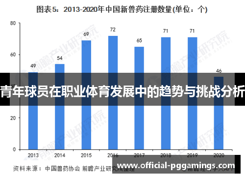 青年球员在职业体育发展中的趋势与挑战分析