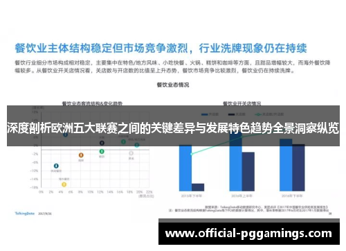 深度剖析欧洲五大联赛之间的关键差异与发展特色趋势全景洞察纵览 深度剖析欧洲五大联赛之间的关键差异与发展特色趋势全景洞察纵览