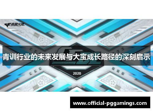 青训行业的未来发展与大宝成长路径的深刻启示