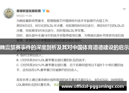 魏震禁赛事件的深度剖析及其对中国体育道德建设的启示